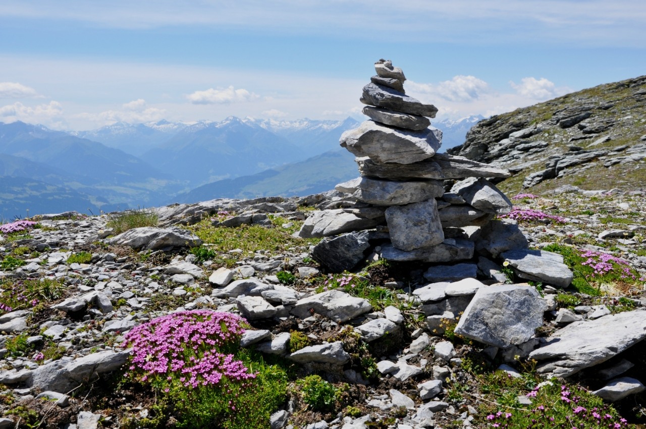 Flims